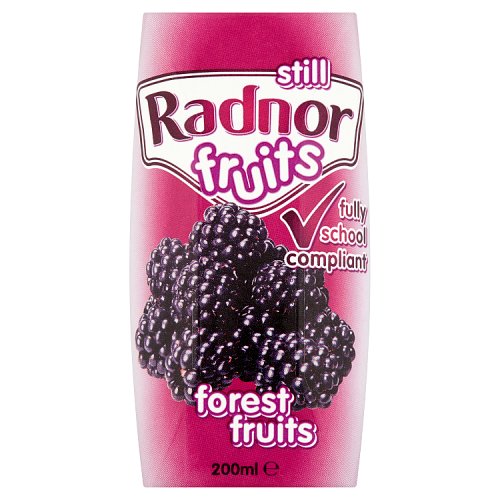 RADNOR FRUITS FOREST FRUIT 200ML X 24