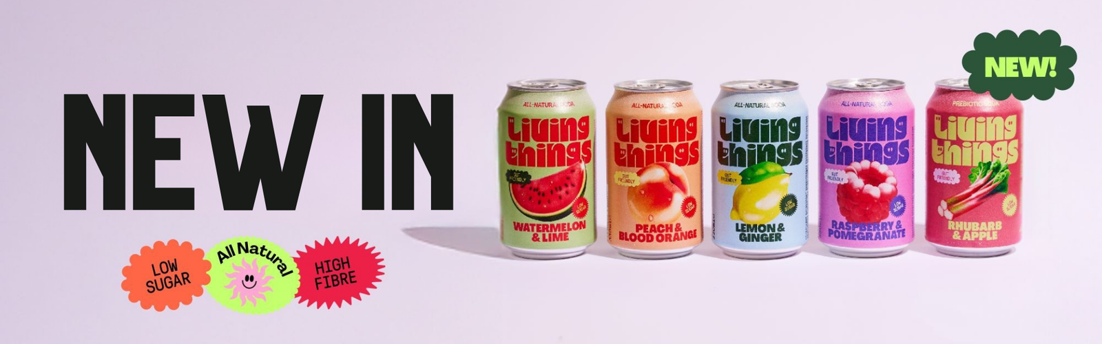 Banner Slide