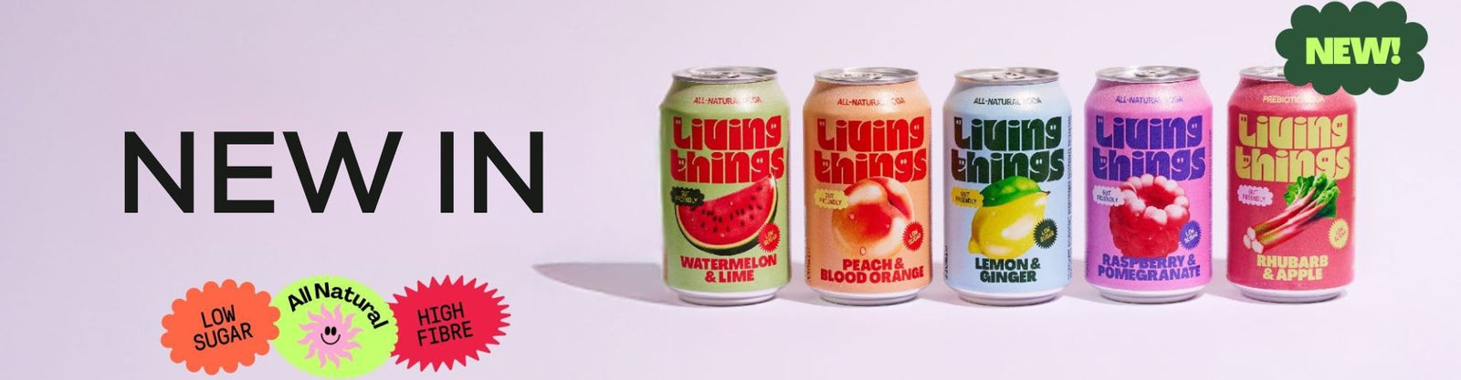 Banner Slide