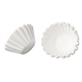 Two white, pleated paper filters